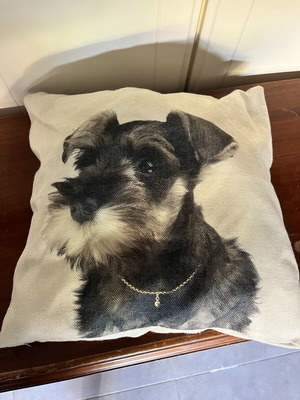 Schnauzer dog pillow like new