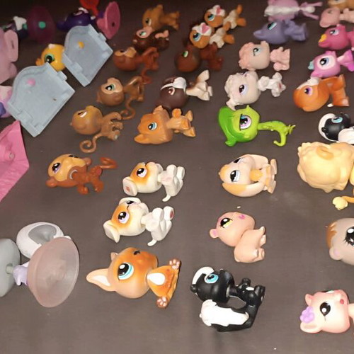 large collection littlest pet shop