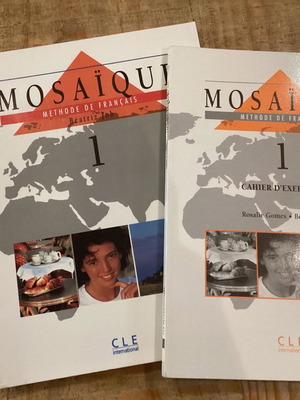 Mosaique 1 methode de francais new French language book