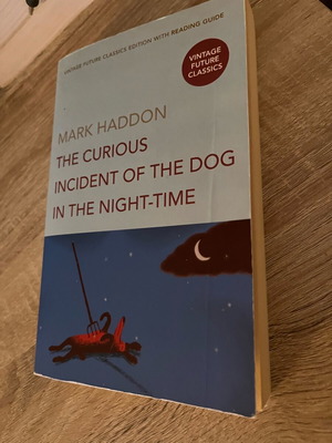English book like new