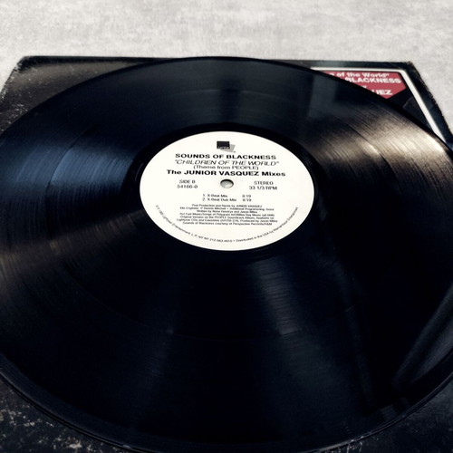 Sounds Of Blackness Children Of The World 12'' Vinyl Maxi Single used