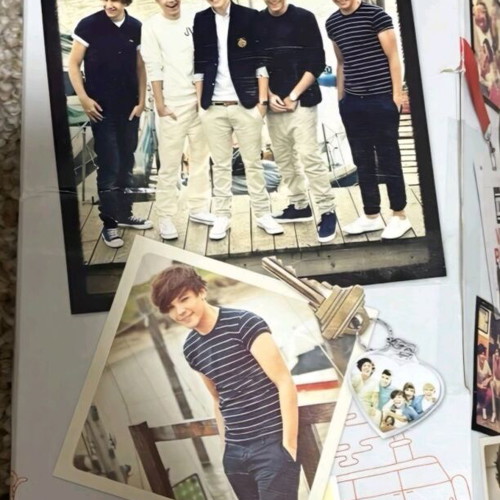 One Direction Louis Doll new with white striped shirt Hasbro