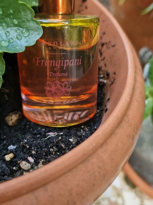 Άρωμα L Erbolario Frangipani Eau de Parfum 50 ml σαν καινούργιο