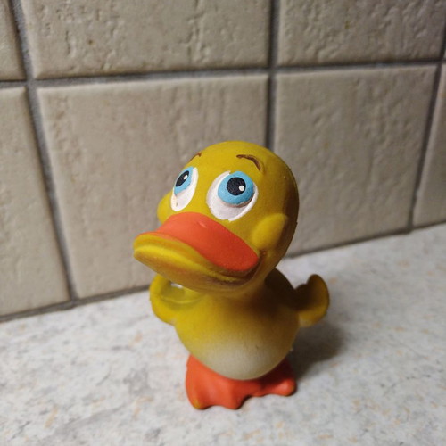 Baby toy duck