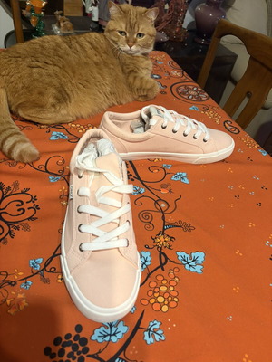 Only women's sneakers new, low beige pink