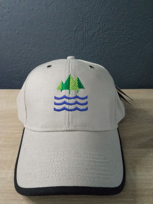 Forsten Worldwide beige hat new