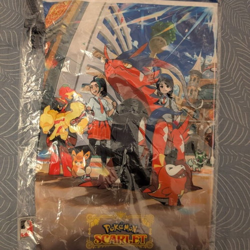 Pokemon Play Accessory Bag new