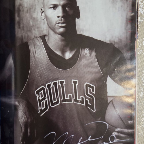 Chicago Bulls Last Dance Yearbook 1997-98 used official copy