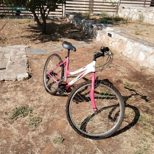 Orient Comfort mountain bike, women's low frame