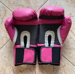 Everlast boxing gloves new
