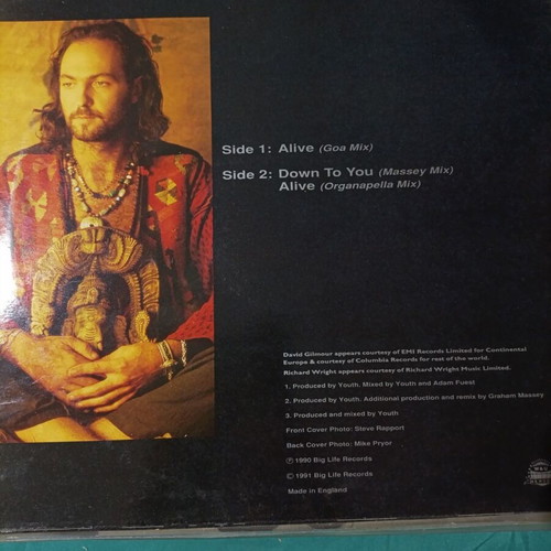 Blue Pearl Alive vinyl record like new