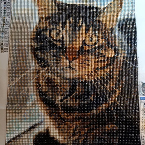 Diamond painting Cat like new, canvas 30x40 with diamonds