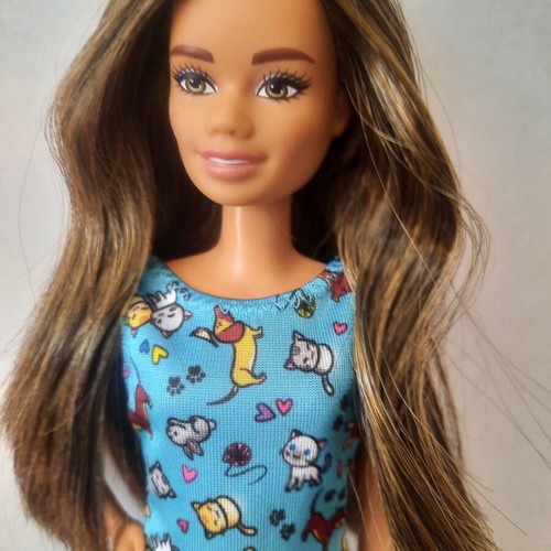 Barbie Fashionistas #97 Petite Doll with Pet Vet Dress