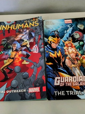 Marvel graphic novels set like new, 2 volumes