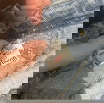 Σορτσάκι Medium άριστης κατάστασης