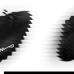  NOD ERGO MOUSE (kwd 2962)