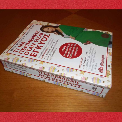 What to Expect When You're Pregnant book like new, pregnancy guide