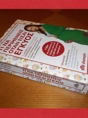 What to Expect When You're Pregnant book like new, pregnancy guide