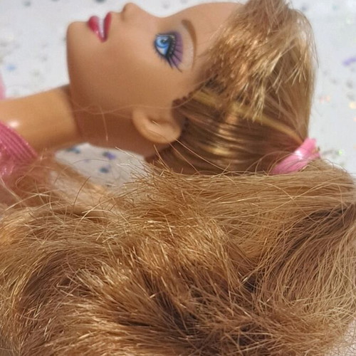 Barbie Fashionistas Swappin' Styles Sweetie 2011 Wave 1 like new with extra head