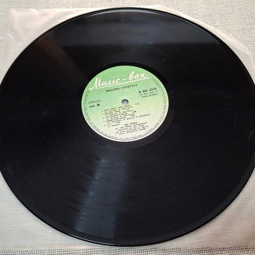 The Twins Modern Lifestyle LP like new, electronic