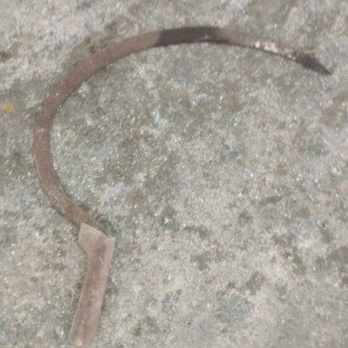 Sickle like new with wooden handle, 40 cm length
