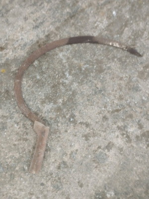 Sickle like new with wooden handle, 40 cm length