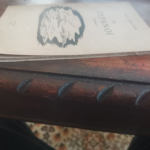 Oi Geranoi book used, in good condition
