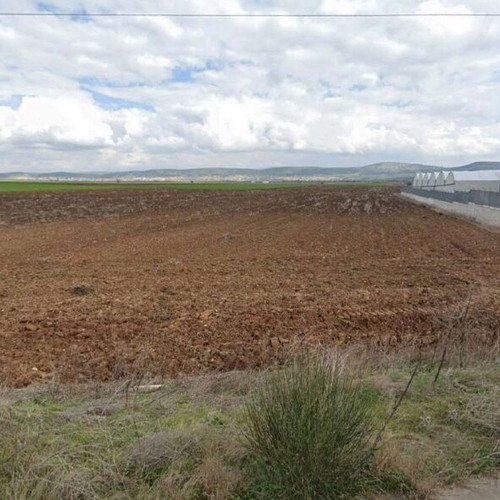 Field of 22,270.37 square meters