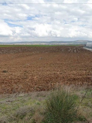 Field of 22,270.37 square meters