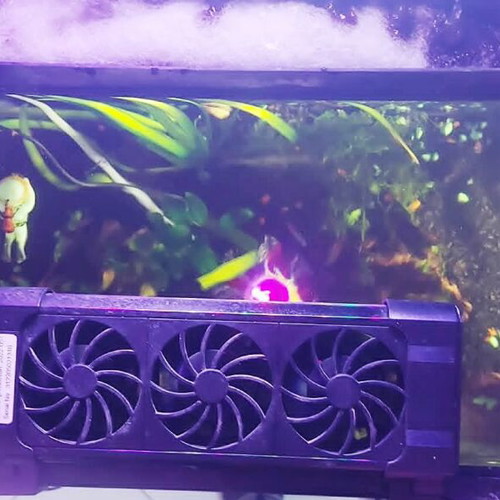 Aquarium 75 liters like new with live plants and accessories
