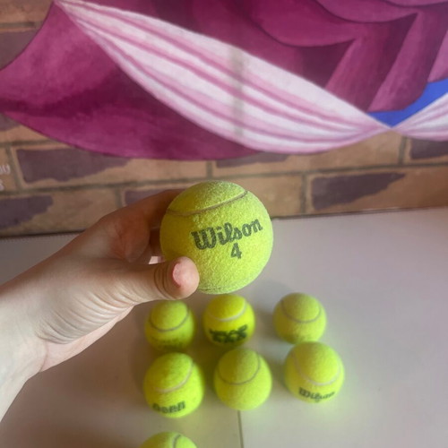 Tennis ball set of 8 with mesh carrying bag, Wilson, Head Pro, Penn