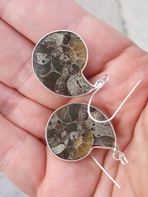 Σκουλαρίκια τομές ιριδίζον απολιθωμένων αμμωνιτών καινούργια, επάργυρα 925 ασήμι