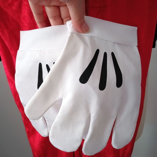 Mickey Mouse Disney costume used