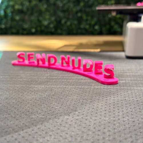 Send nudes decorative sign new