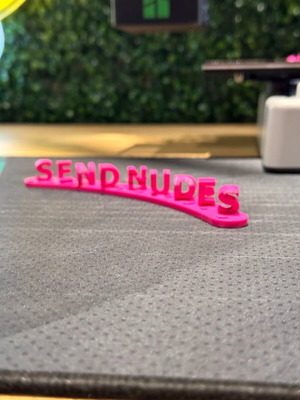Send nudes decorative sign new