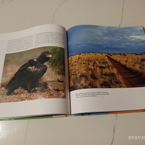 The Encyclopedia of Animals Volume 15 used, Kangaroo and Australian Animals
