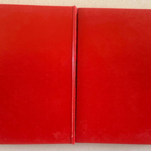 Emile Zola Pages of Love 2 Volumes used