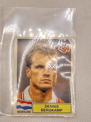 Panini USA'94 (Black Back) Sticker 431 Bergkamp like new