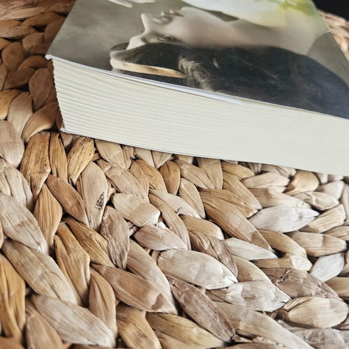 Northern Lights by Jennifer Donnelly used, Greek edition