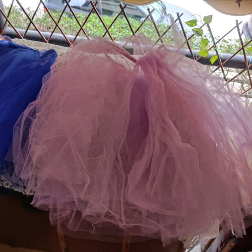 3€ each. There are five wing and skirt costumes.