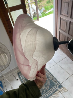 Ceiling light used