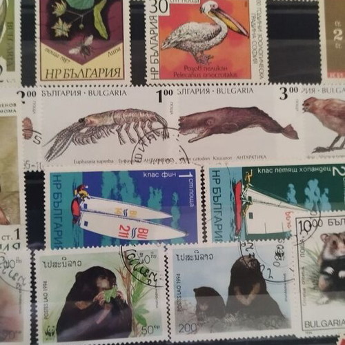 Stamp collection new, complete album with various countries