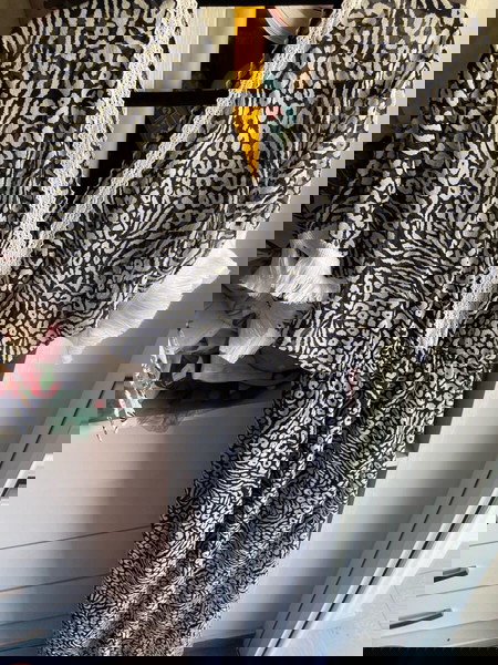 Φόρεμα regalinas animal print με φόδρα