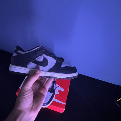 Nike Dunk Low kids' size 30 new with box authentic