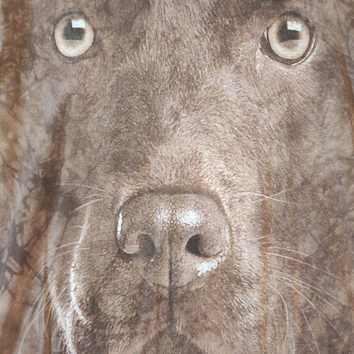 The Mountain Chocolate Lab T-shirt size M like new, colorful