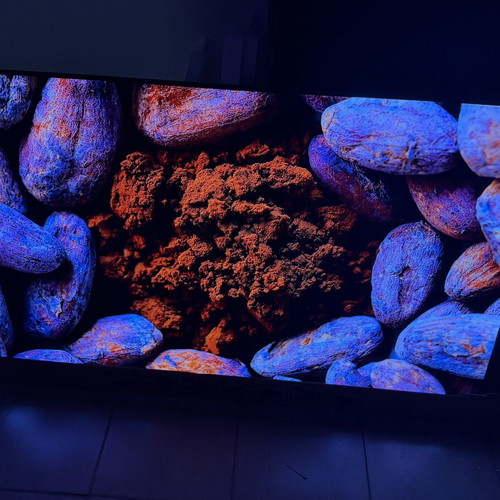 LG OLED CX 65-inch TV with LG S80TR soundbar
