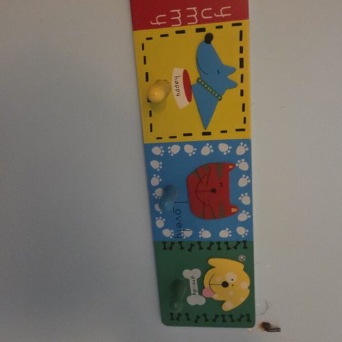Children's wooden hanger with animal design