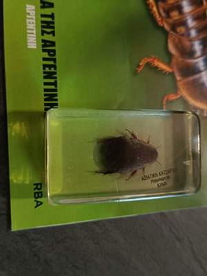 Real insects used, issue 31