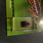 Real insects used, issue 31