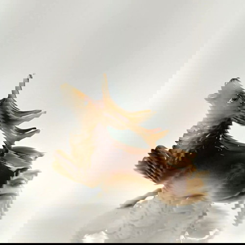 Vintage πορσελάνινο διακοσμητικό Carl Scheidig Gräfenthal σαν καινούργιο